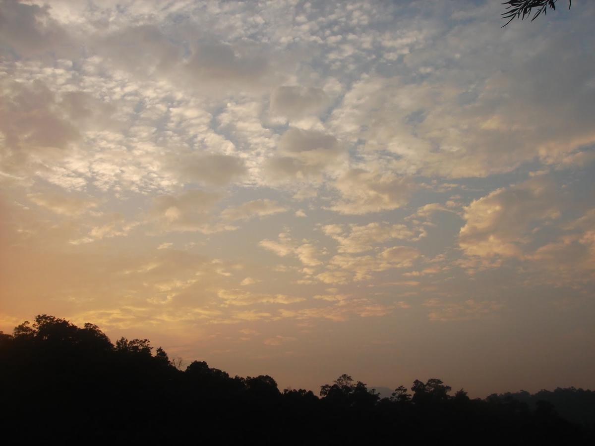 Wild Elephant Eco Friendly Resort Munnar Zewnętrze zdjęcie
