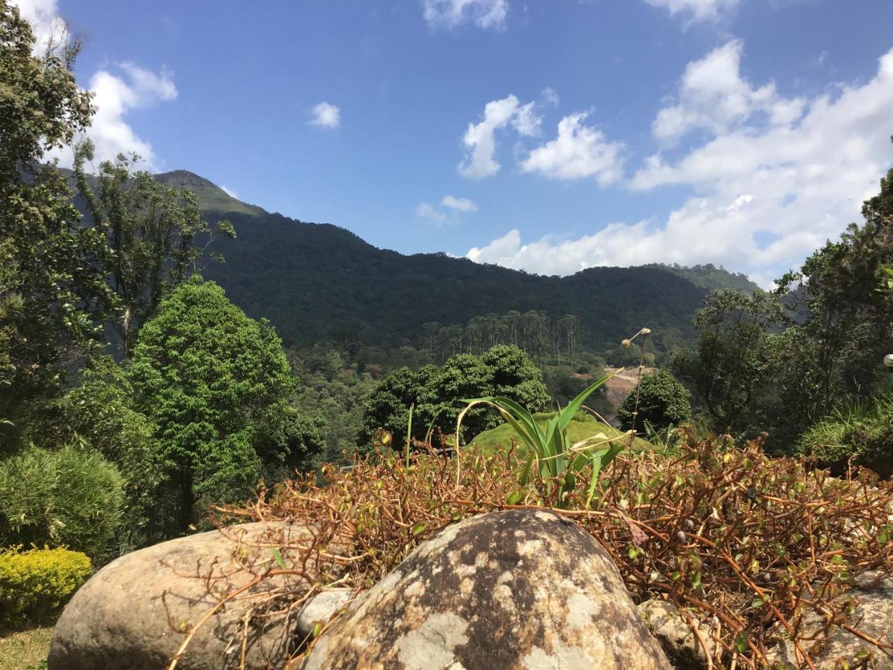 Wild Elephant Eco Friendly Resort Munnar Zewnętrze zdjęcie