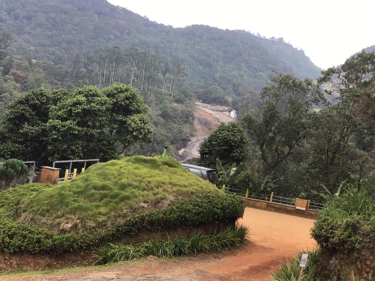 Wild Elephant Eco Friendly Resort Munnar Zewnętrze zdjęcie