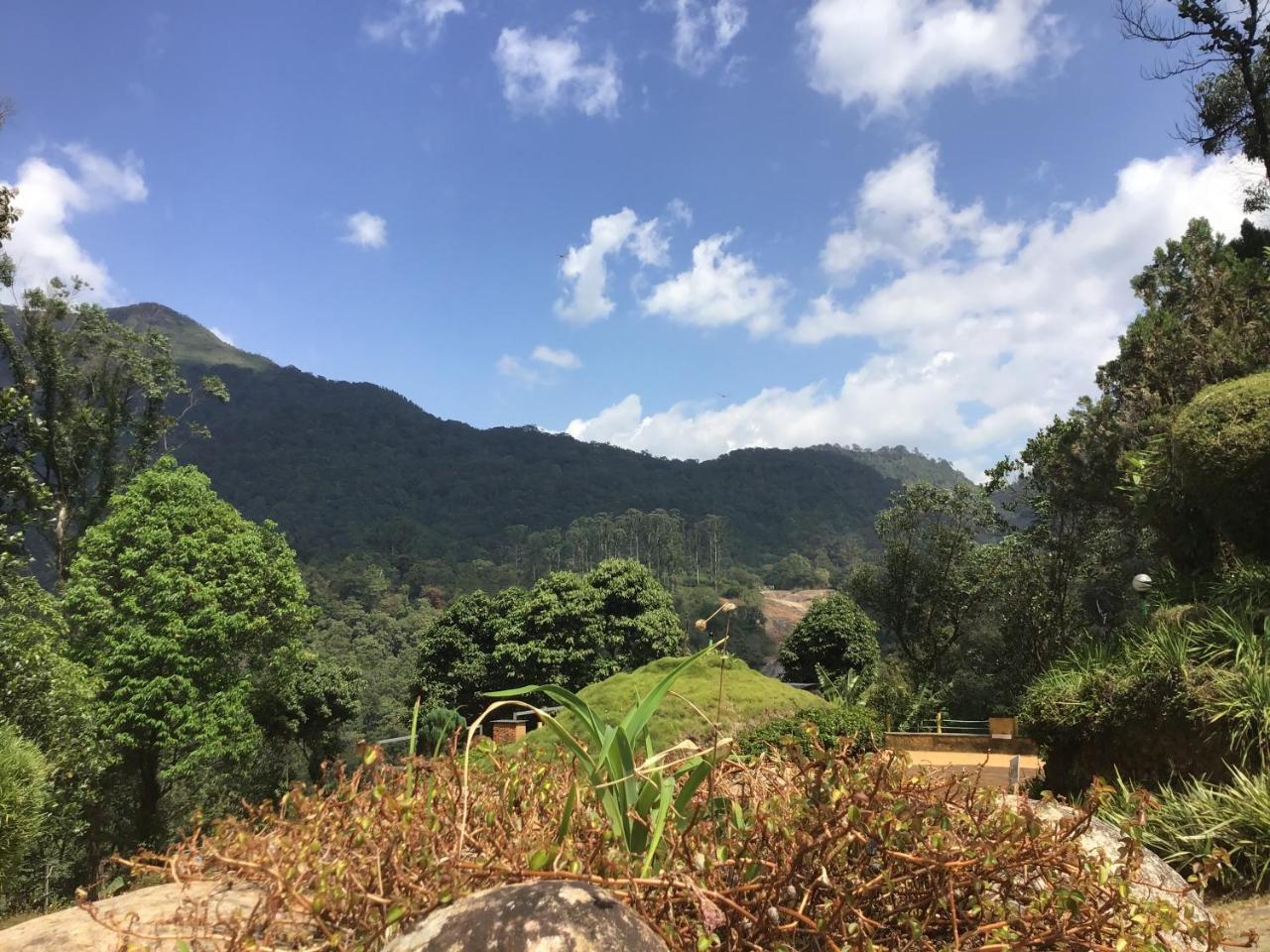 Wild Elephant Eco Friendly Resort Munnar Zewnętrze zdjęcie