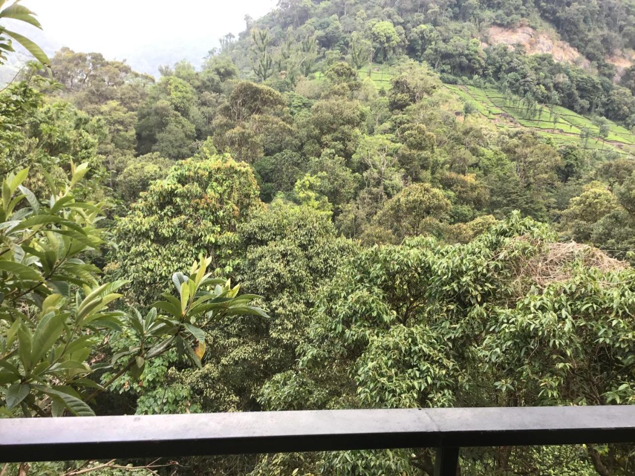 Wild Elephant Eco Friendly Resort Munnar Zewnętrze zdjęcie